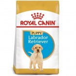 Royal Canin Labrador Retriever Puppy 3kg